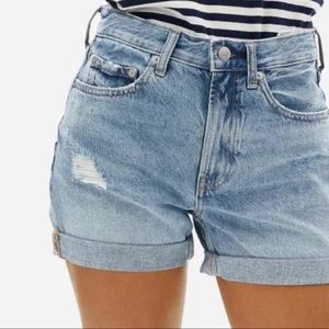Everlane The Denim Short